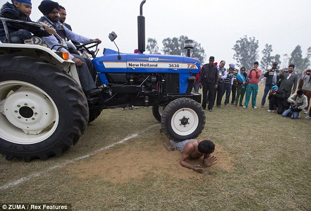 Painful: A man lies under a tractor as a test of strength during the Indian Rural Olympics 