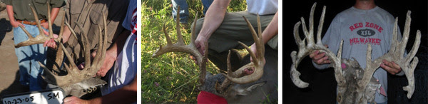 Buck 1 All Pics