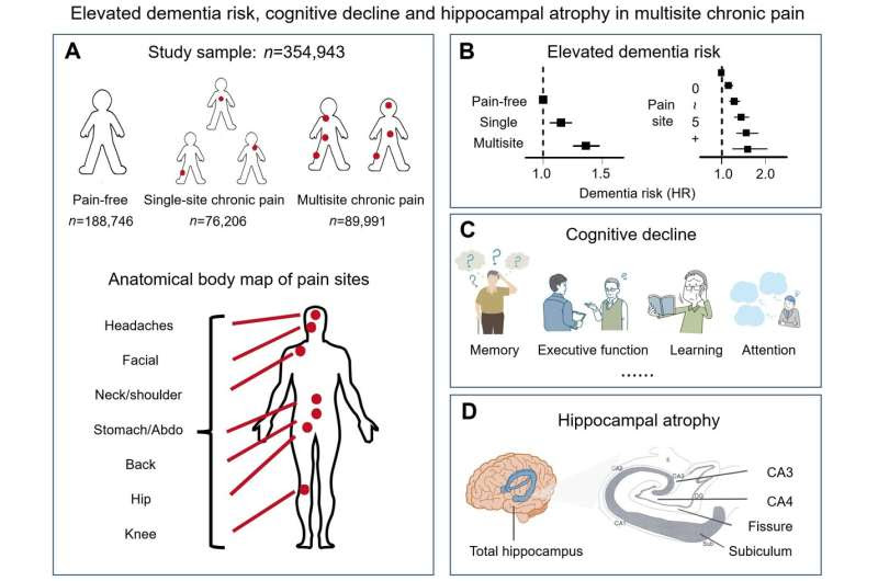 More pain, more burdens: Researchers find link between chronic pain and dementia