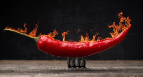 pepper-hot-burinig-1024x551.jpg