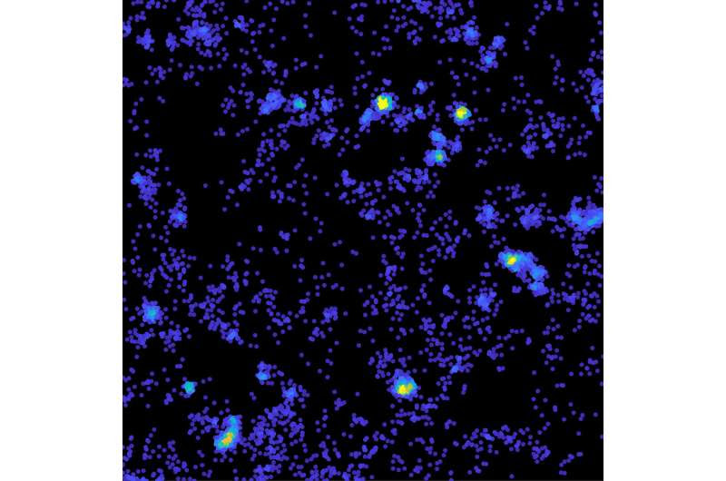 Tau hot spots open new avenues of discovery into dementia