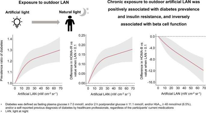 New study reveals that exposure to outdoor artificial light at night is associated with an increased risk of diabetes