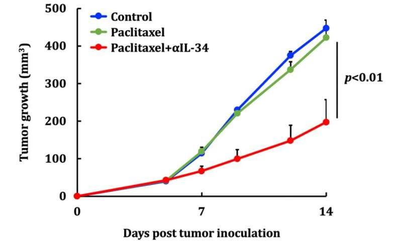 Root of triple negative breast cancer immunosuppression and chemoresistance revealed