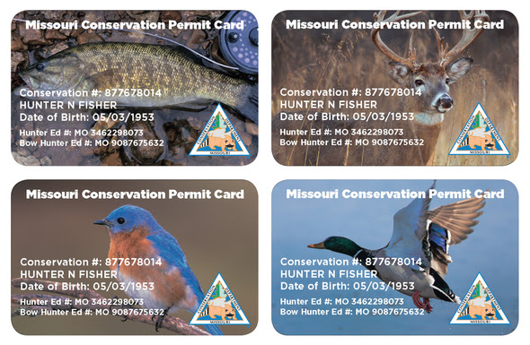 Permit Cards