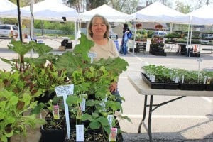 DeVulders Farm is expected to have some strawberries as well as green onions, rhubarb, veggie starts.