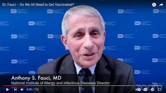 Dr. Fauci