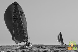 J/111 sailing Auckland, New Zealand offshore regatta