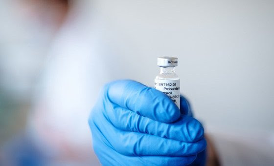 Várias empresas estão testando vacinas contra a Covid-19 em todo o mundo