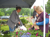 farmers market