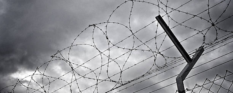 “The Truth is Getting Around” says Doctors4covidethics Barbed-wire-narrow