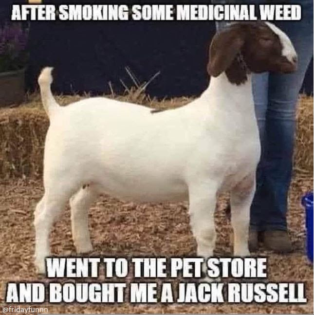 Can't win em all! 😀