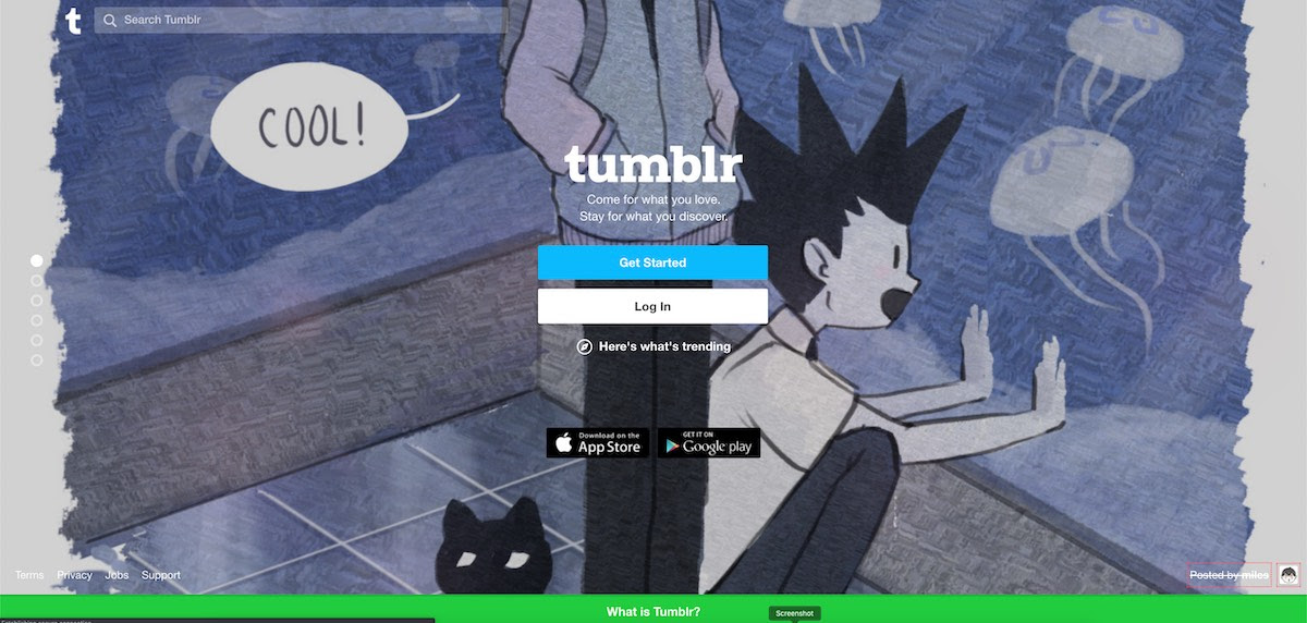 tumblr home page