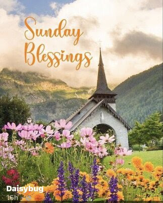 Sunday-Blessing-Daisy-Bug