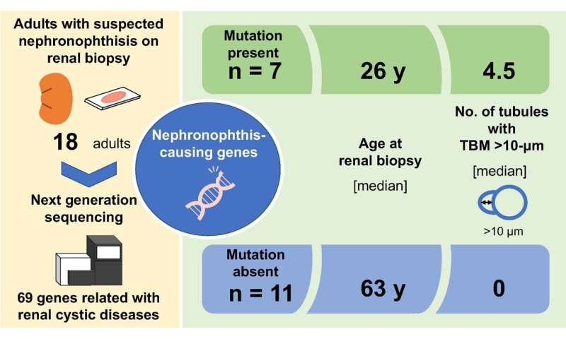 Finding clues to nephronophthisis in adults