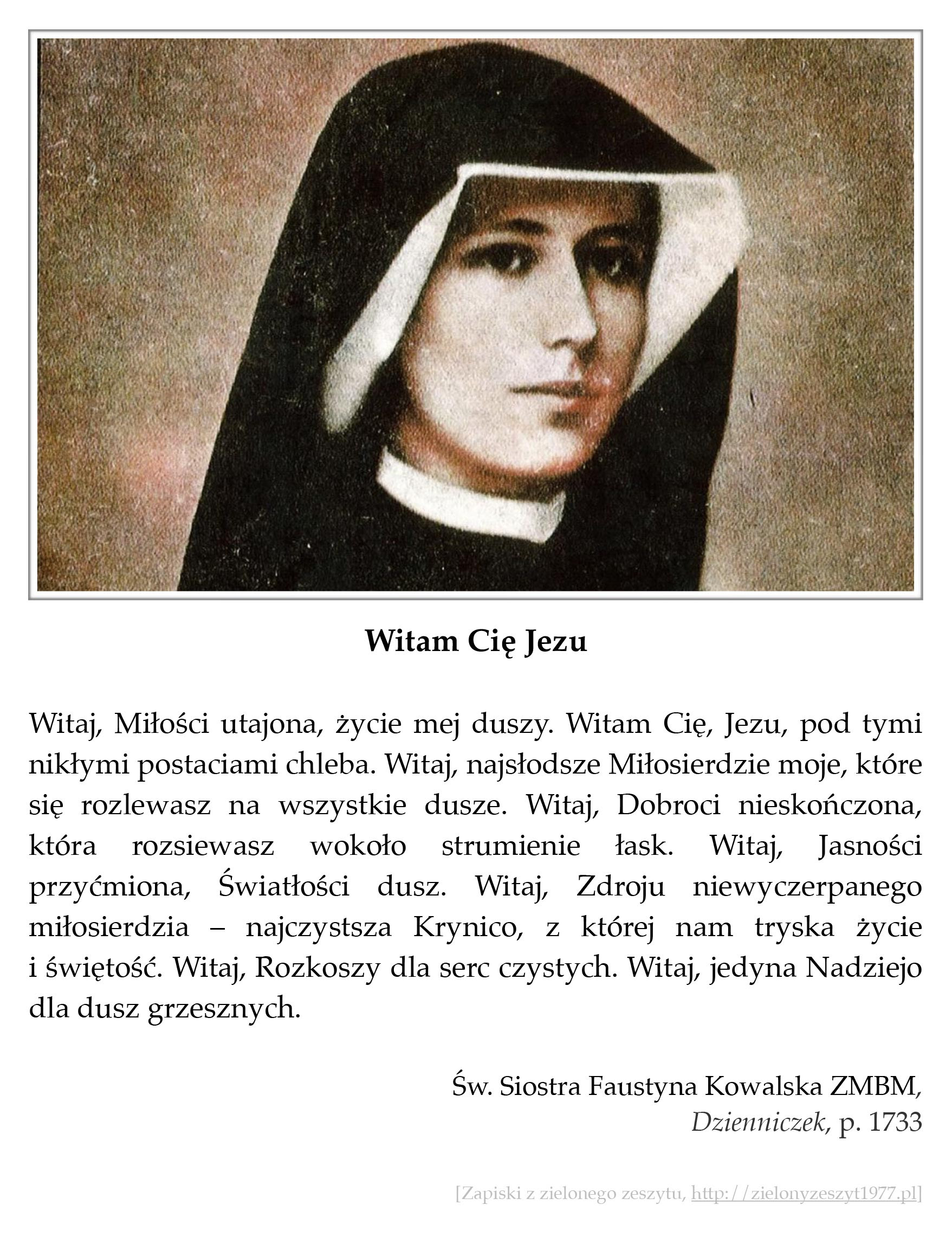 Witam Cię Jezu; św. Faustyna Kowalska · Zapiski z zielonego zeszytu