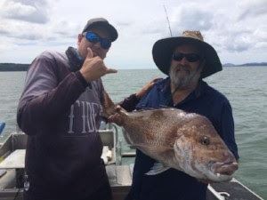 Epic Bay of Islands Snapper fishing