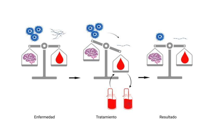 New therapeutic target could check the progress of Alzheimer's disease