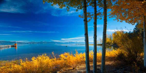 Fall Photo