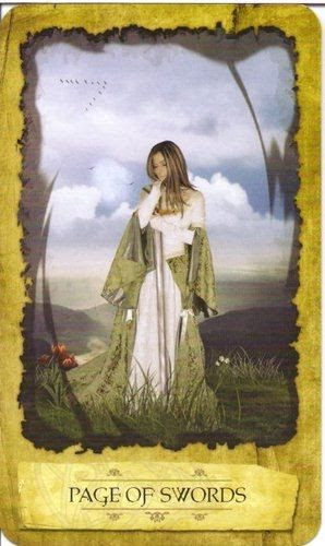 Image result for page of swords mystic dreamer tarot