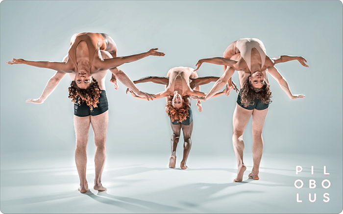 Dancers form the shapes of birds (Photo by Hibbard Nash)