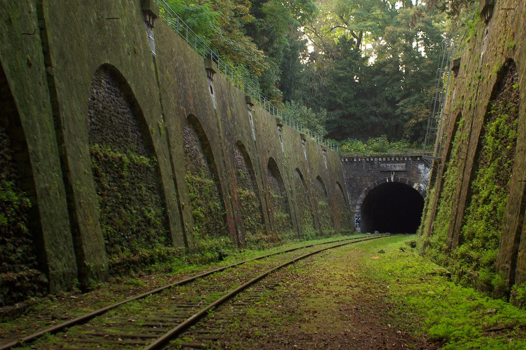 http://twistedsifter.com/2013/04/petite-ceinture-abandoned-railway-in-paris/