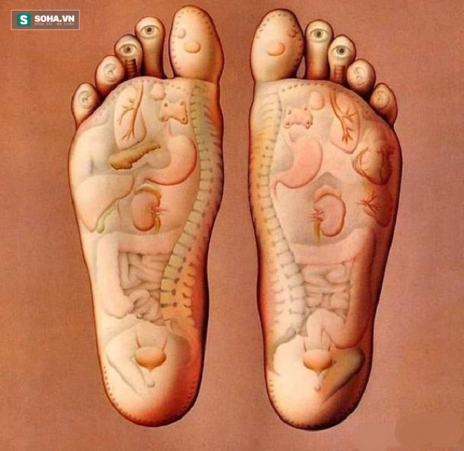 Kiễng gót chân: Bài tập mang lại 10 tác dụng chữa bệnh hiệu quả - Ảnh 1.