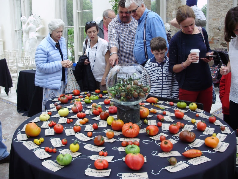 People gazing in wonder at an amazing kaleidoscope of tomatoes on one of the tables at the Totally Terrific Tomato Festival 2016