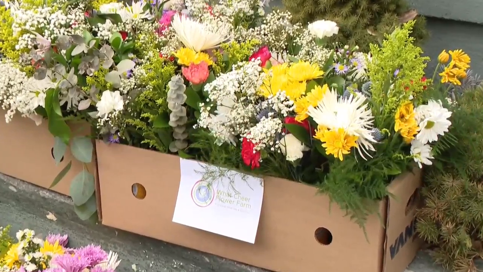  Nonprofit distributes 600 bouquets made up of leftover Valentine's Day flowers