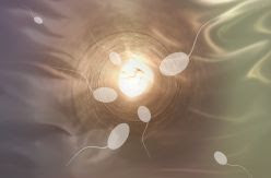 El posible fin del anonimato de la donación de esperma y óvulos cuestiona el modelo actual de reproducción asistida