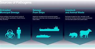 Pathogens : Ocean Health Index