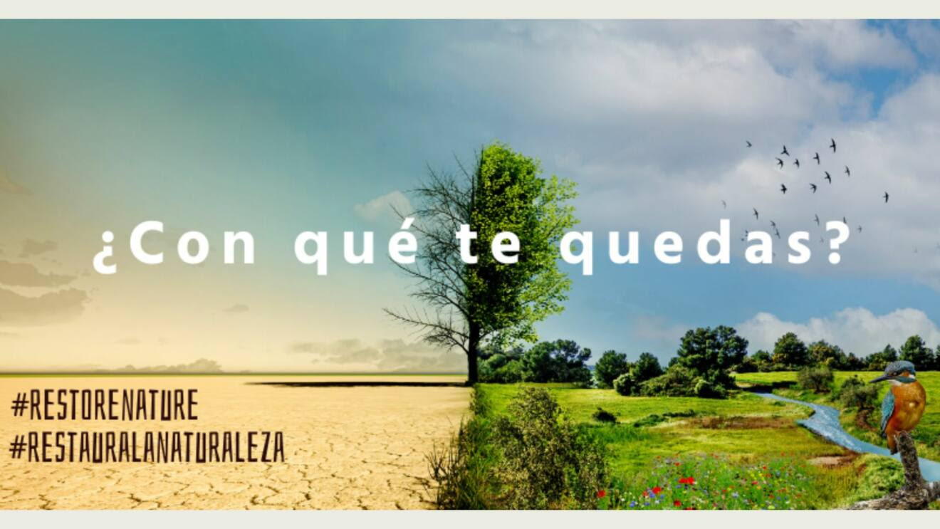 Organizaciones ecologistas instan a la UE a adoptar un Reglamento de Restauración de la Naturaleza efectivo que asegure el buen estado de conservación de los ecosistemas europeos