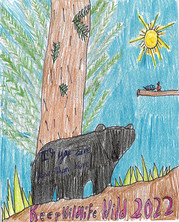 A child's drawing done with colored pencils of a black bear in the woods with a bright blue sky, the sun and a bird and nest perched on a tree branch.