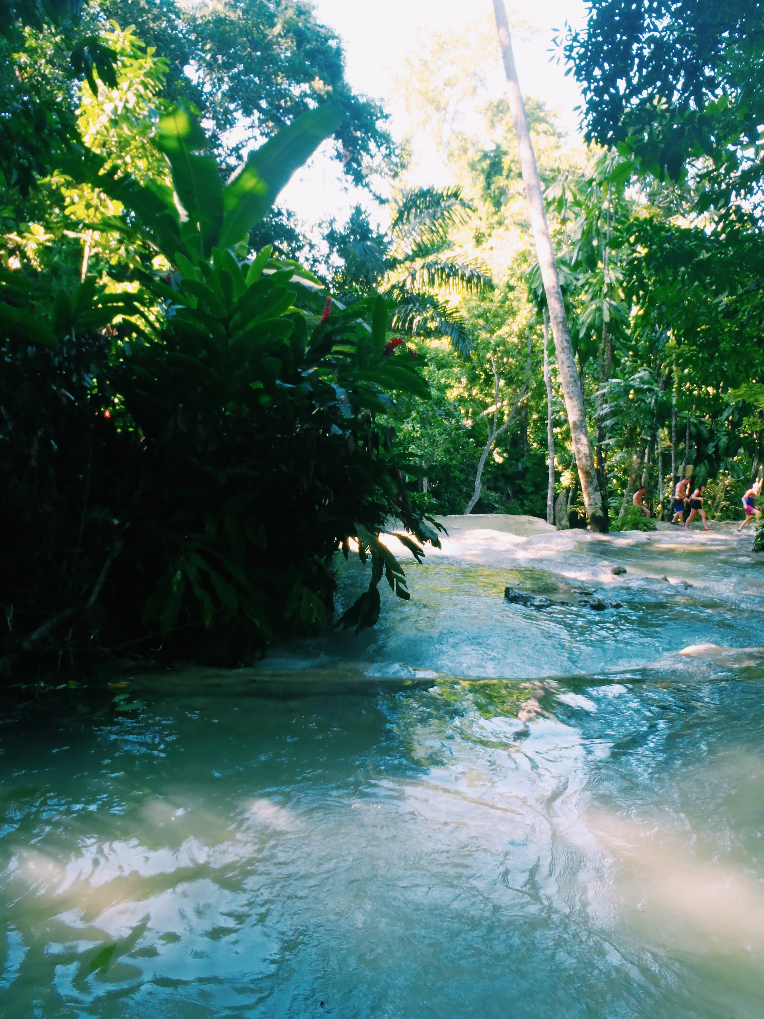 Dunns River Falls The Good Rogue