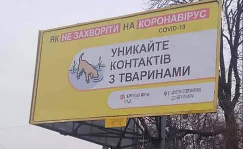 Новини Тернополя - фото з Чи переносять коти та собаки коронавірус і яких правил гігієни потрібно дотримуватися