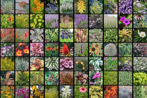 Plant choices