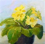 Yellow Primrose.still life,oil on canvas,6x6,price$200 - Posted on Thursday, February 26, 2015 by Joy Olney