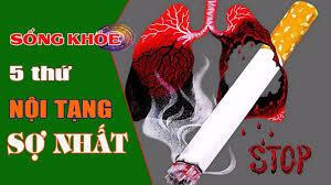 2875 3 PhoiSoKhoi ThuocDHST