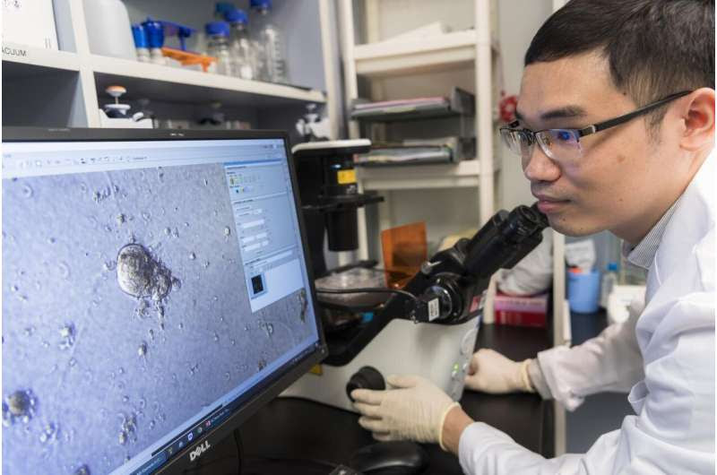 CityU biologists discover super-enhancers that switch on breast cancer genes