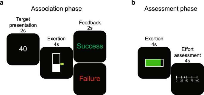 Whether physical exertion feels 'easy' or 'hard' may be due to dopamine levels, study suggests