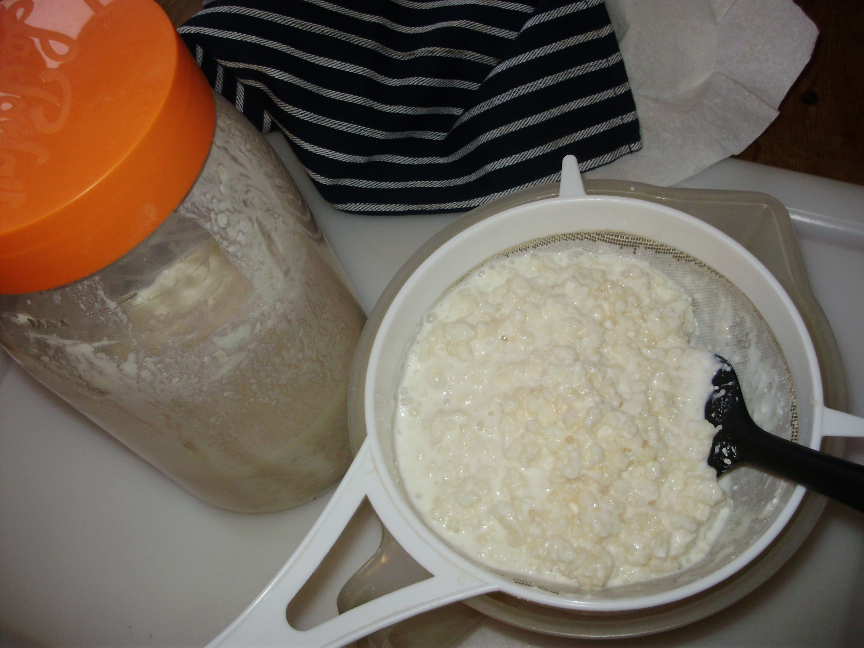 2. Stirring kefir grains around sieve to drain liquid through into bowl