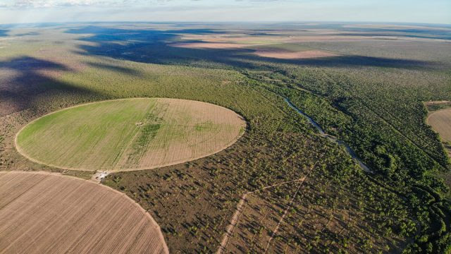 Imagem aérea de pivôs centrais de irrigação de água no oeste da Bahia