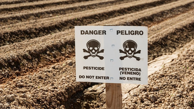pesticides brazil