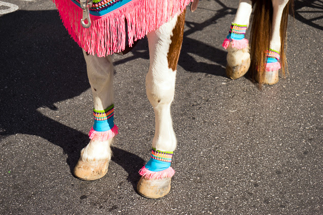 Carnaval caballo Desfile Curacao 2016