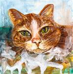 6x6 Orange Tabby Cat Loose Watercolor Style with Pen and Ink Penny StewArt - Posted on Thursday, January 22, 2015 by Penny Lee StewArt