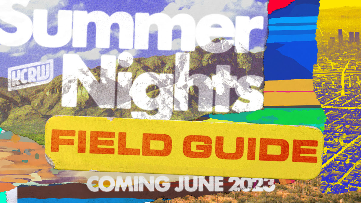 Summer Nights Field Guide