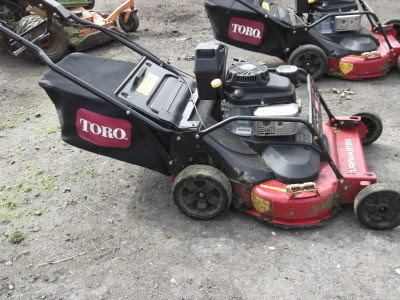 toro