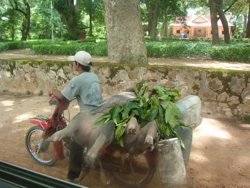 48.jpg