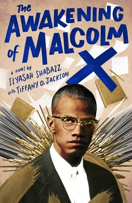 The Awakening of Malcolm X EPUB