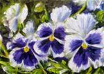 Purple Face Pansies - Posted on Friday, March 13, 2015 by Tammie Dickerson