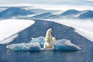 réchauffement climatique 2